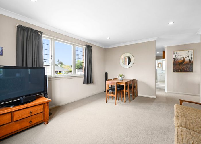  at 10 Darley Street, Maeroa, Hamilton