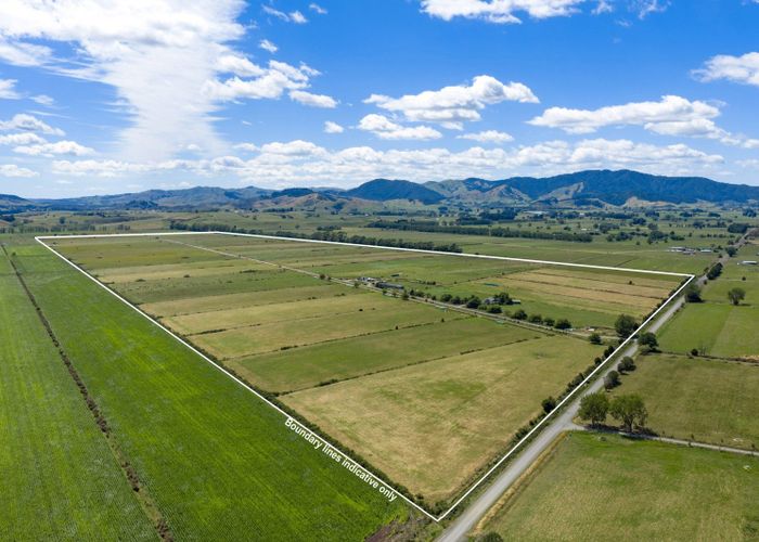  at 331 Kneebone Road, Hamilton North, Hamilton, Waikato