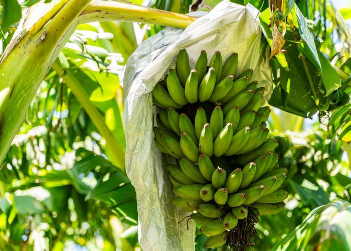  at 146 Bint Road, Maungakaramea, Whangarei, Northland