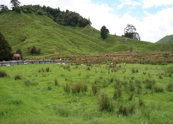  at 6859 Ohura Road, Kohuratahi, Stratford