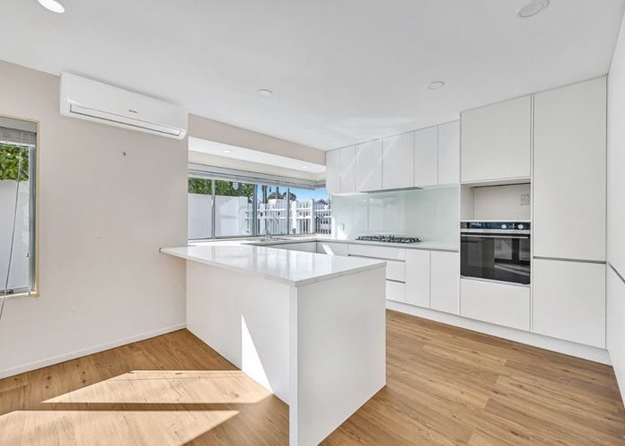  at 19 Horotutu Street, Greenlane, Auckland City, Auckland