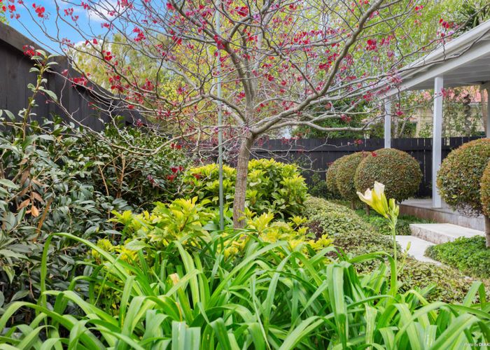  at 40 Wingate Street, Avondale, Auckland