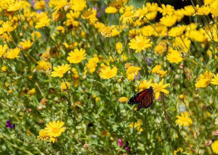  at 90 Kiwi Road, Raumati Beach, Paraparaumu