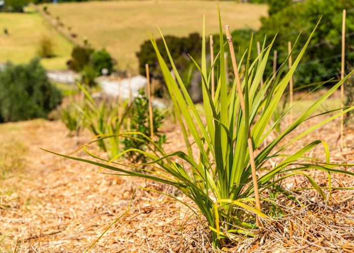  at 167 Barrier View Road, Mangawhai, Kaipara, Northland