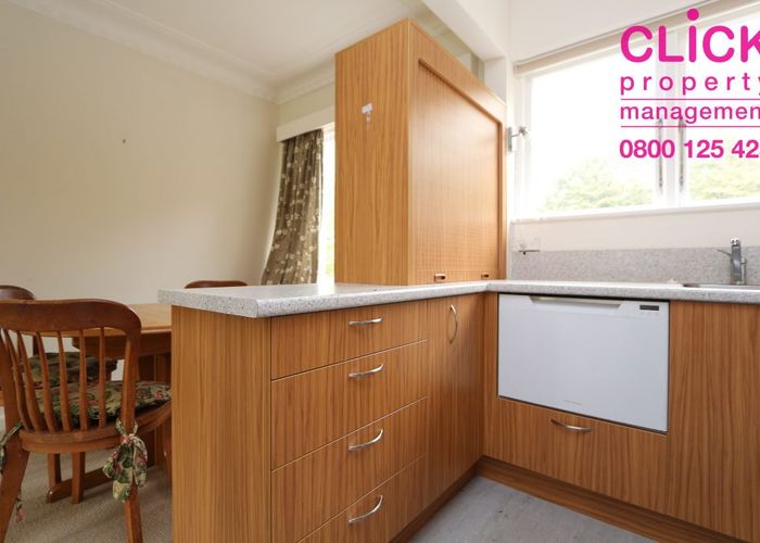  at 4 B Alva Street, City Centre, Dunedin, Otago