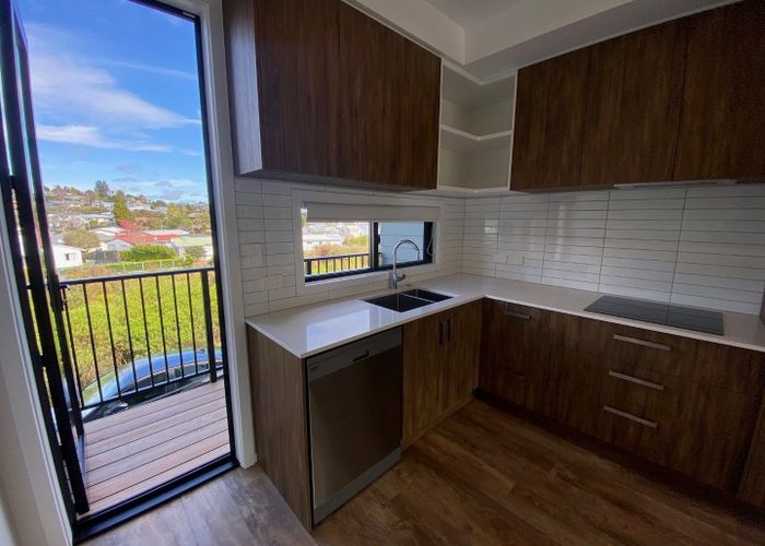  at 8 Equine Way, Brookfield, Tauranga, Bay Of Plenty