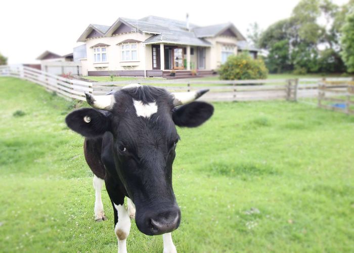  at 1435 Waughs Road, Aorangi, Feilding