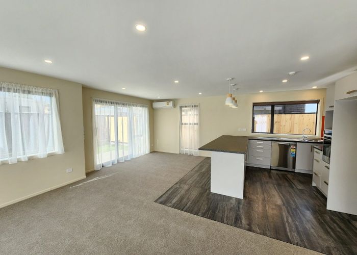  at 1 Adesanya Close, West End, Palmerston North