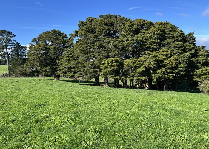  at 678 Waiuku Road, Mauku, Franklin, Auckland