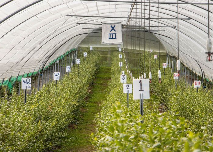  at 234 Willoughby Road, Katikati