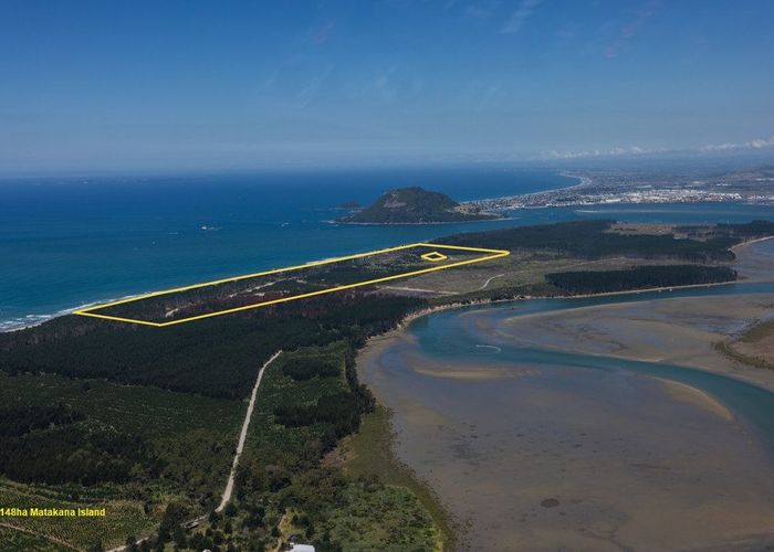  at Mount Maunganui, Tauranga, Bay Of Plenty