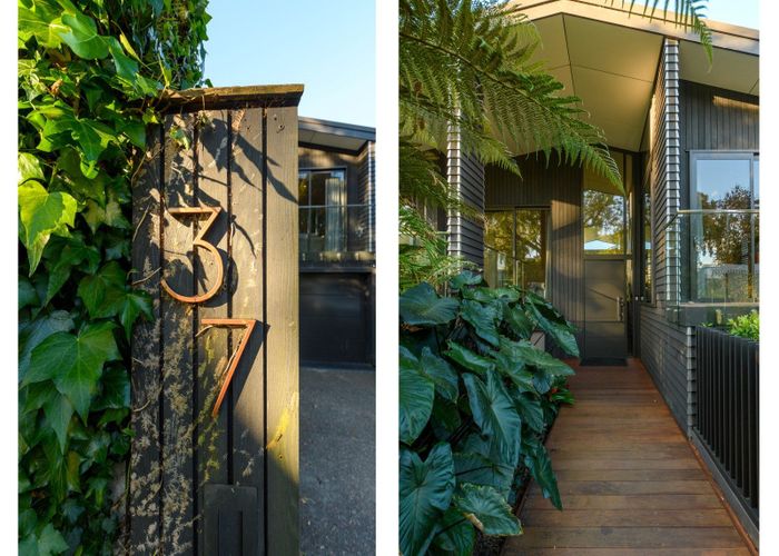  at 37 Fourteenth Avenue, Tauranga South, Tauranga