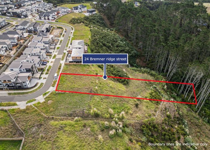  at 24 Bremner Ridge Street, Flat Bush, Manukau City, Auckland