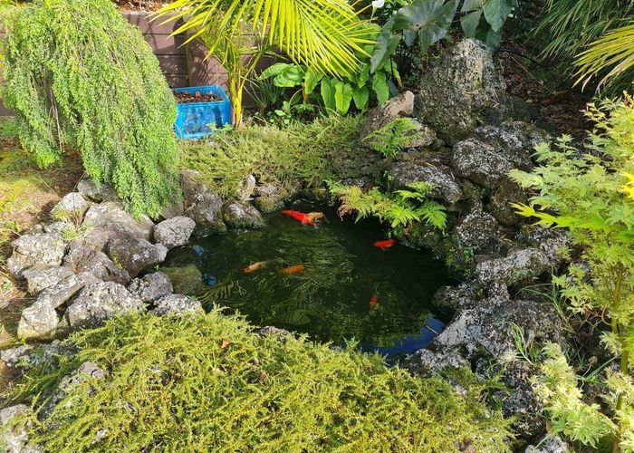  at 51 Chateau Rise, Flat Bush, Manukau City, Auckland