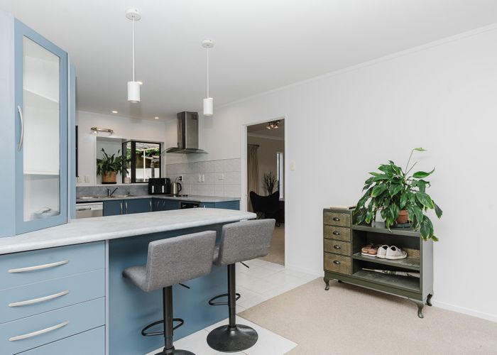  at 6 Exeter Street, Glenview, Hamilton, Waikato