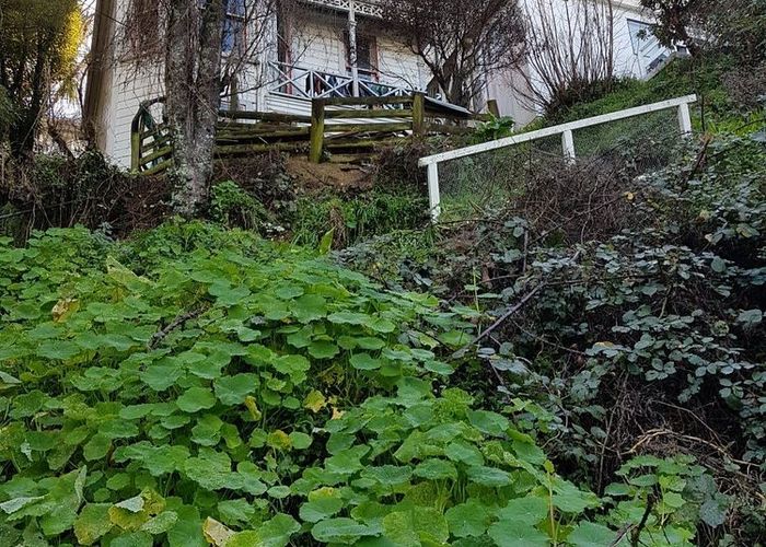  at 13 Mortimer Terrace, Aro Valley, Wellington