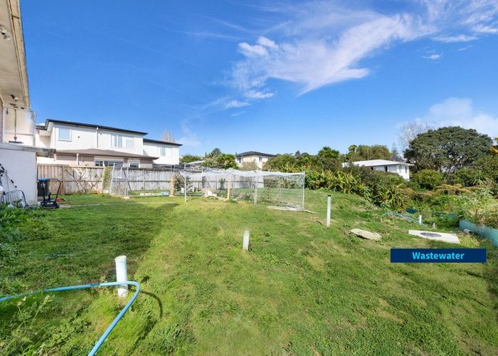  at 99 Tiverton Road, New Windsor, Auckland City, Auckland