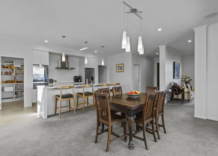  at 41 Catalyst Avenue, Cambridge, Waipa, Waikato