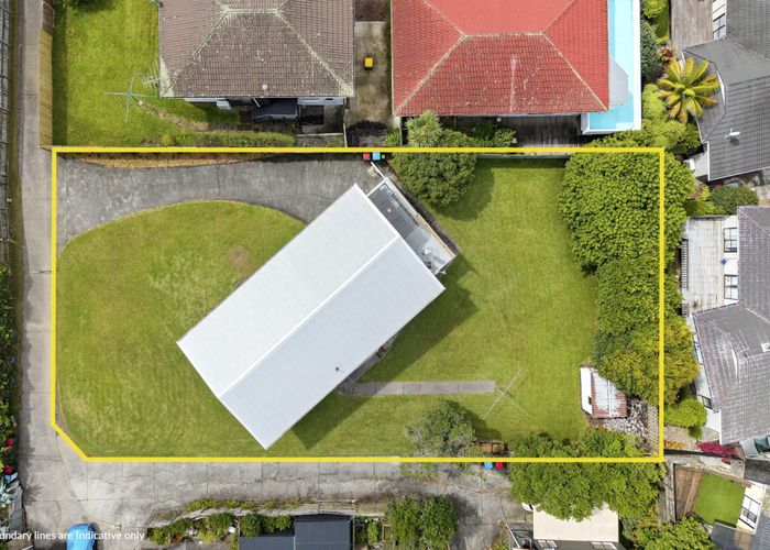  at 19 Cradock Street, Avondale, Auckland City, Auckland