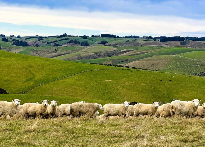  at 140 + 612 Reserve Road, Tuapeka Mouth, Clutha, Otago
