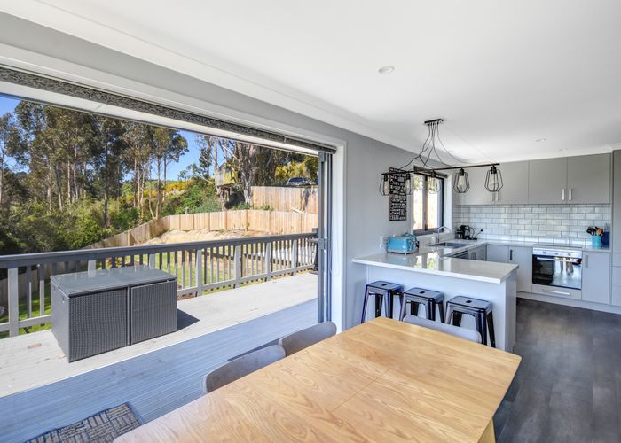  at 16 Owen Street, Green Island, Dunedin