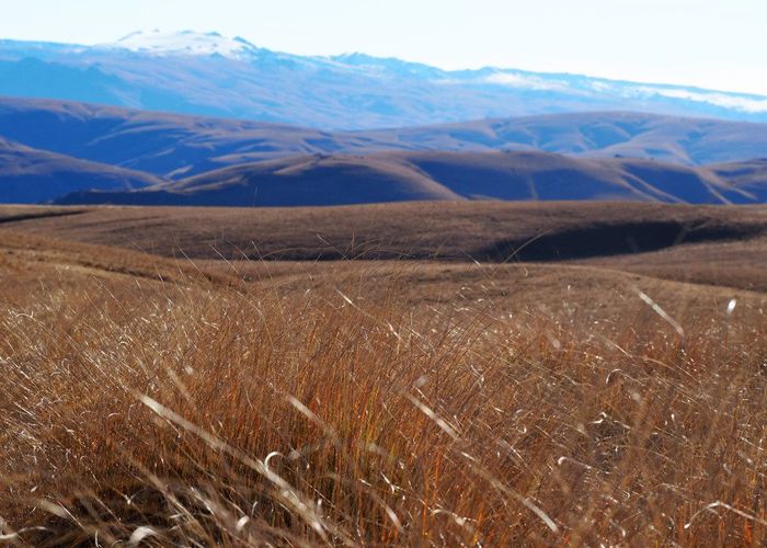  at 0 Mt Benger Road, Ettrick, Central Otago, Otago