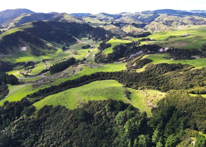  at 8300 Route 52, Dannevirke, Tararua, Manawatu / Whanganui