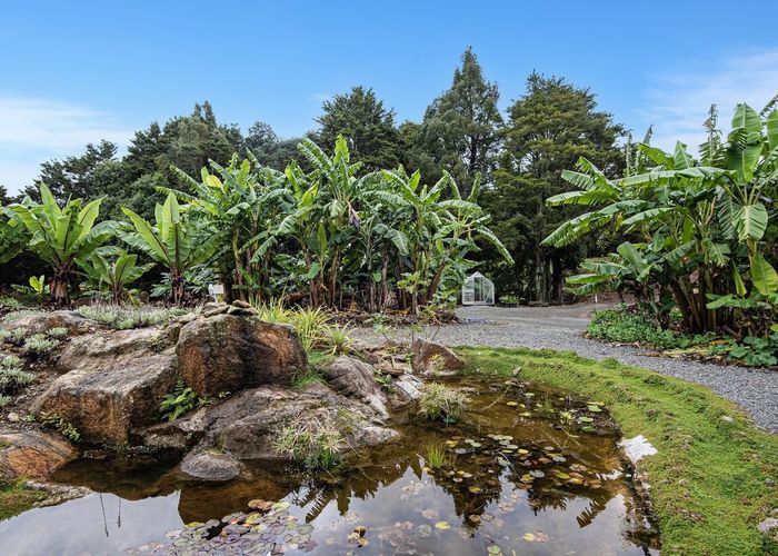  at 304 Mangakahia Road, Maungatapere, Whangarei, Northland