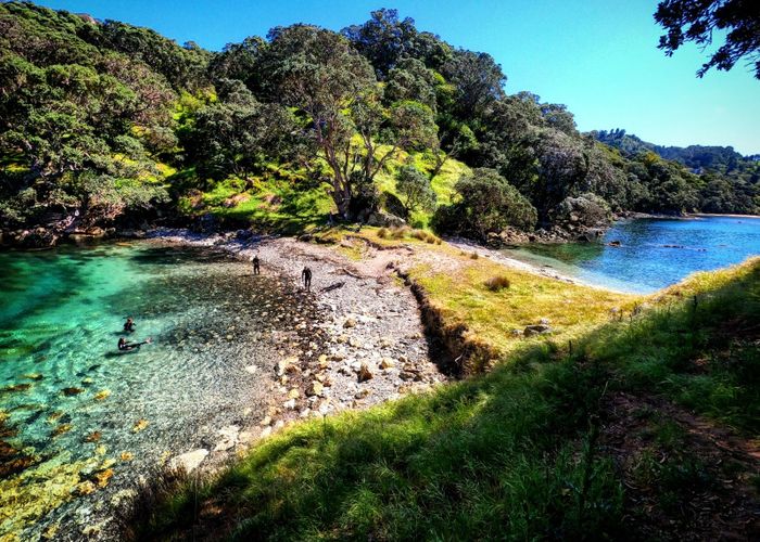  at 216 Matapaua Bay Road, Opito, Thames-Coromandel, Waikato