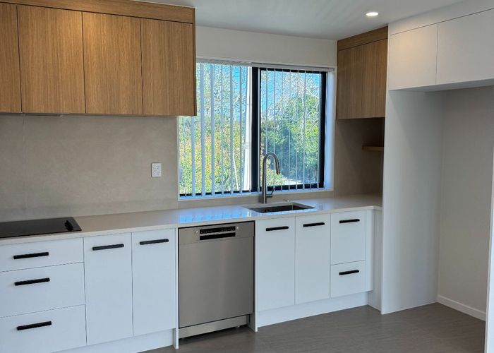 at 6C Millbrook Road, Henderson, Waitakere City, Auckland