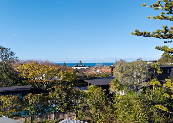  at 17 Hastings Road, Mairangi Bay, North Shore City, Auckland
