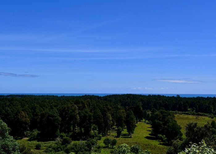 at 76 Eco Place (Wangapeka Rd), Karamea, Buller, West Coast