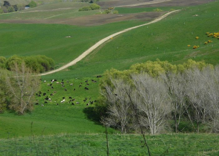  at Peaks Road, Windsor, Waitaki, Otago