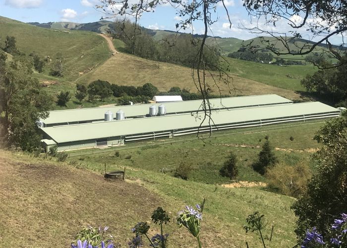  at Rotoorangi, Waipa, Waikato
