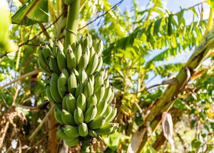  at 52B Hooks and Halls Road, Waimamaku, Far North, Northland