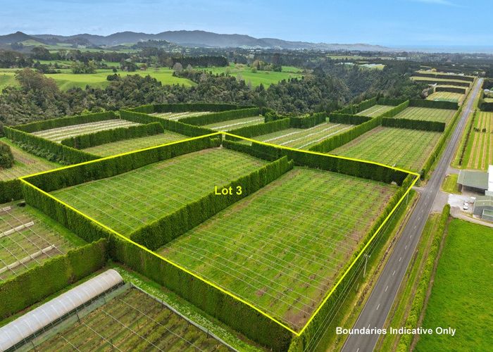  at 1010 Te Matai Road, Te Puke, Western Bay Of Plenty, Bay Of Plenty