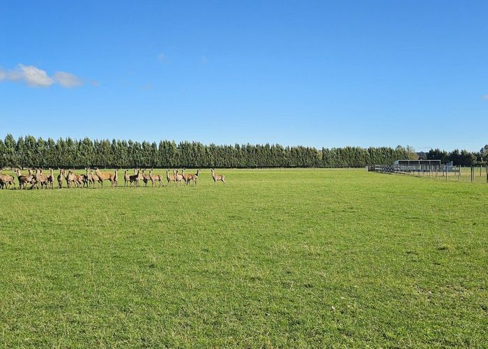  at 61 Nine Mile Road, Riversdale, Southland, Southland