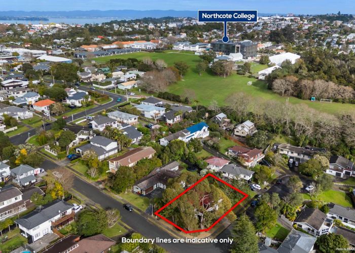  at 10 Paruru Avenue, Northcote, North Shore City, Auckland