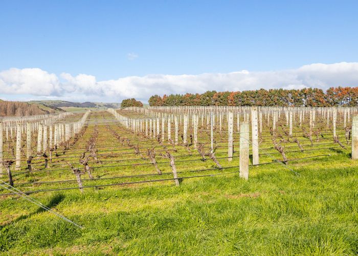  at 0 Vineyard Road, Te Kauwhata