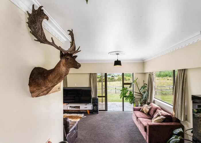  at 353 Kopuku Road, Maramarua Forest, Te Kauwhata