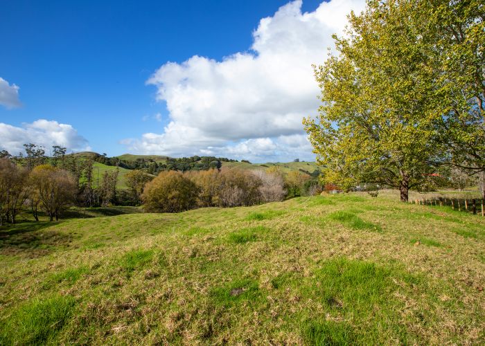  at 291 Oruawharo Road, Topuni