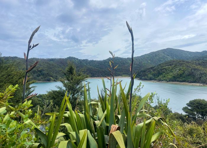 For sale 763 Whangaparapara Road, Great Barrier Island, Hauraki Gulf