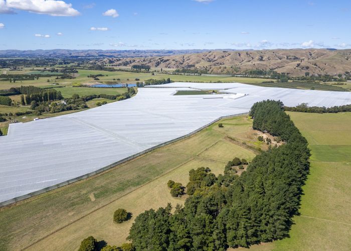  at 78 Gregs Lane, RD 1, Greytown, South Wairarapa, Wellington