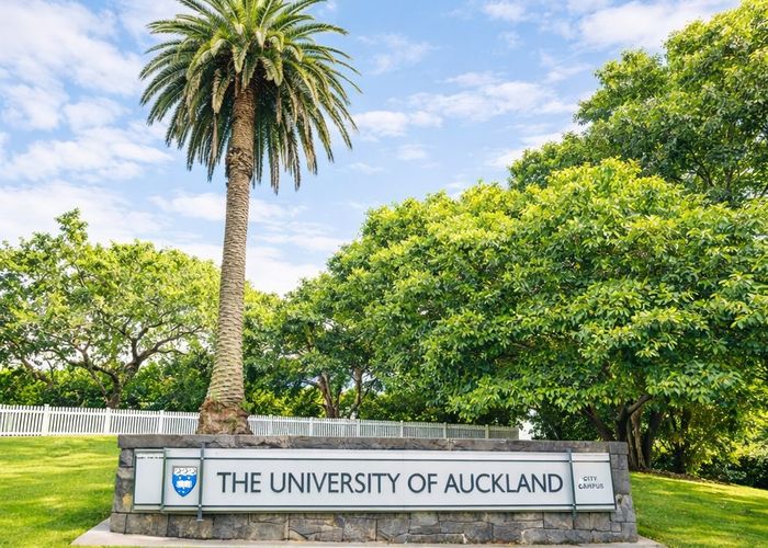  at 10F/30 Symonds Street, Grafton, Auckland City, Auckland