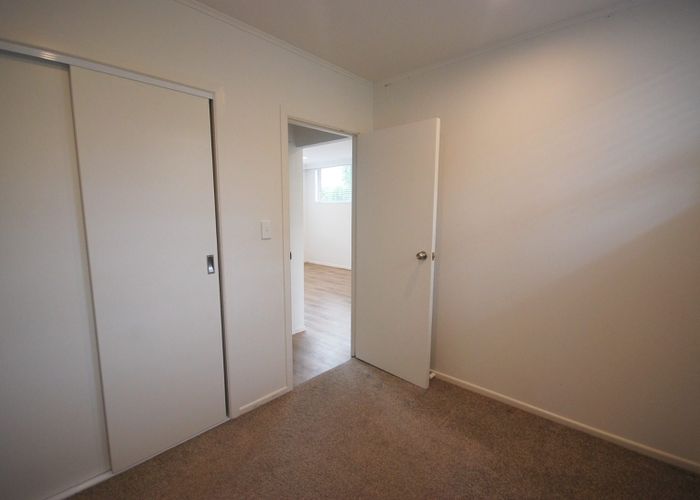  at 49 Simkin Avenue, Saint Johns, Auckland City, Auckland