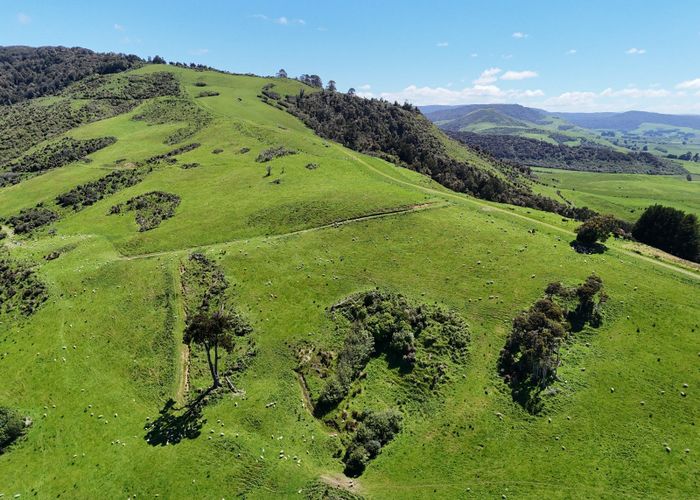  at 124 Niagara Waikawa Road, Tokanui, Southland, Southland