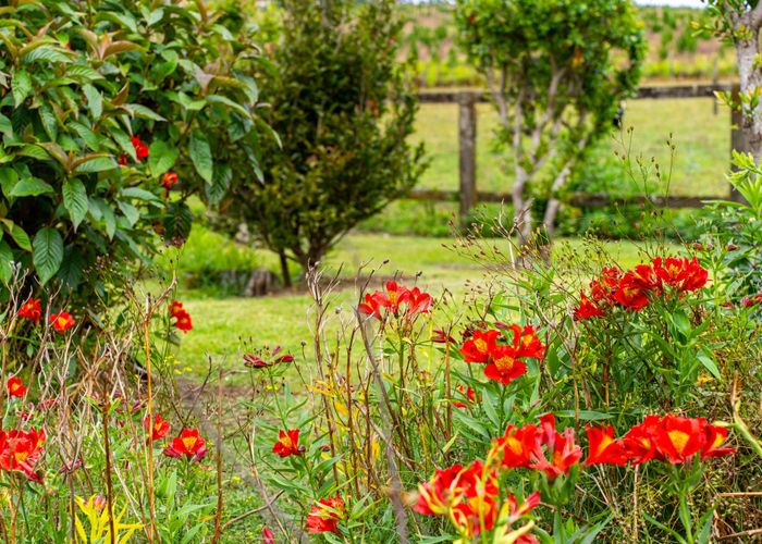  at 4317 State Highway 12, Dargaville, Kaipara, Northland