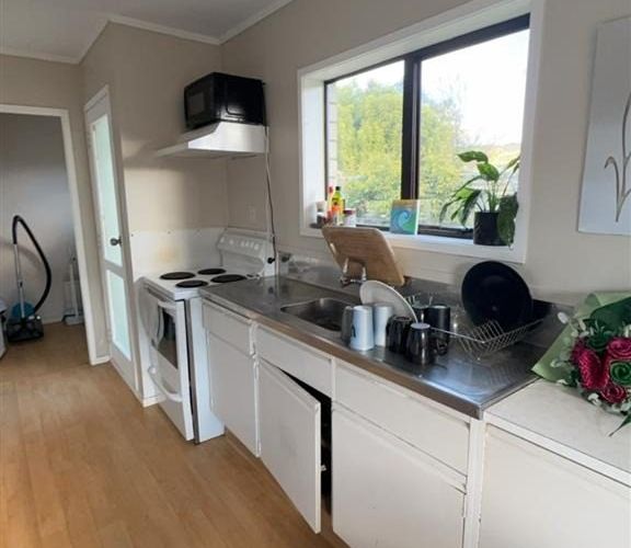  at 19 Goldie Street, Pukehangi, Rotorua, Bay Of Plenty