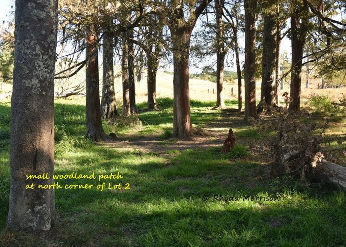  at 0 Golden Stairs Rd, Maungaturoto, Kaipara, Northland