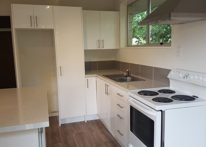  at 12a  Ruddenklau Lane, Bishopdale, Christchurch City, Canterbury